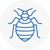 Bed Bug Extermination In Thamesmead