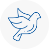 Bird Prevention Thamesmead