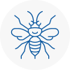 Thamesmead Hornet Nest Removals