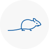 Mice Exterminators In Thamesmead