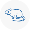 Rat Control Thamesmead