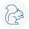 Thamesmead Rodent Removals