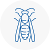 Thamesmead Wasp Nest Removal